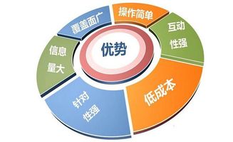 郑州网络推广与互联网信息服务的优势分析