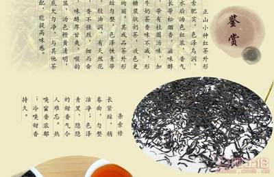 百茶人生 品味特级正山小种红茶