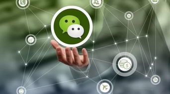 微信上千万别做的危险行为，三言两语就可能送你坐牢